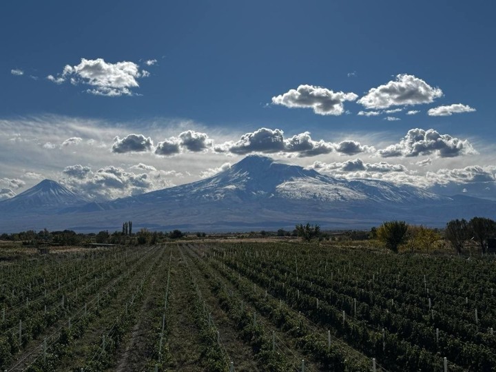 Ararat Panorama 2
